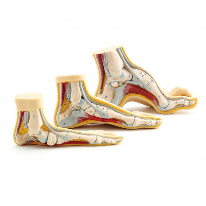 PACHET de 3 Picioare pentru consultație. 